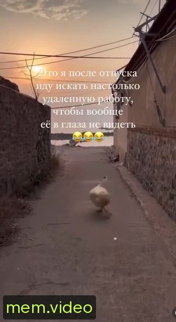 Кадр на 0:01