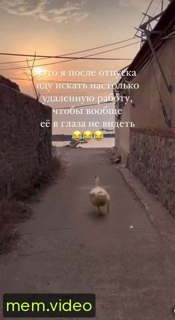 Кадр на 0:02