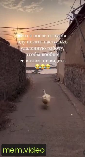 Кадр на 0:02