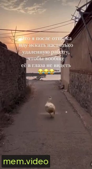 Кадр на 0:03