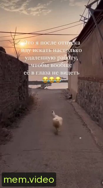 Кадр на 0:04