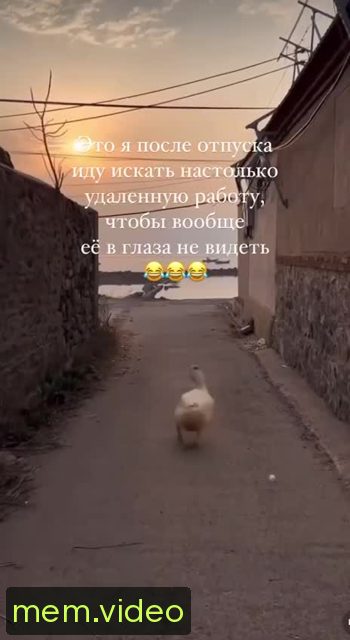 Кадр на 0:05
