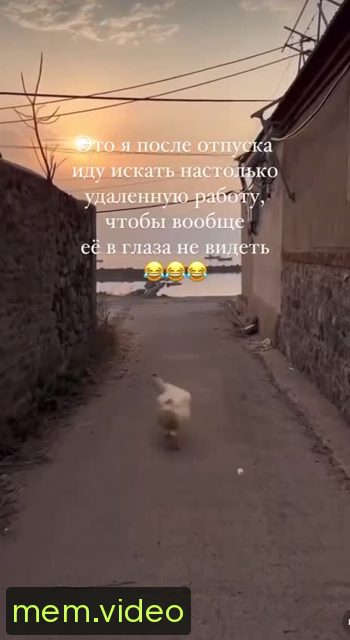 Кадр на 0:05