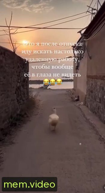 Кадр на 0:06