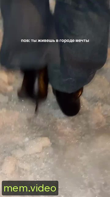 Кадр на 0:08