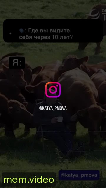 Кадр на 0:13