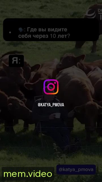 Кадр на 0:14