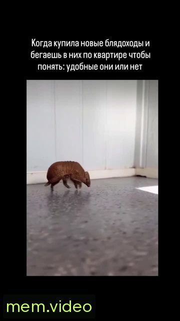 Кадр на 0:00