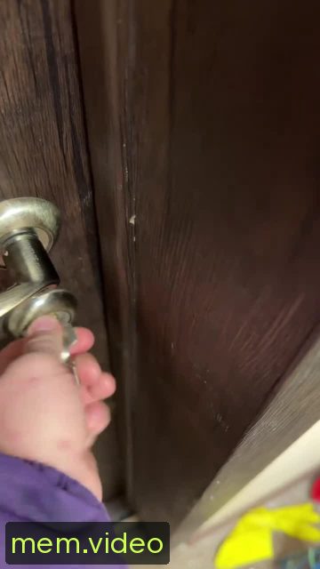 Кадр на 0:00