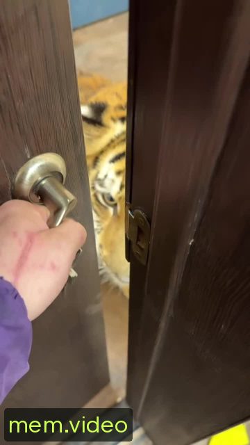 Кадр на 0:02