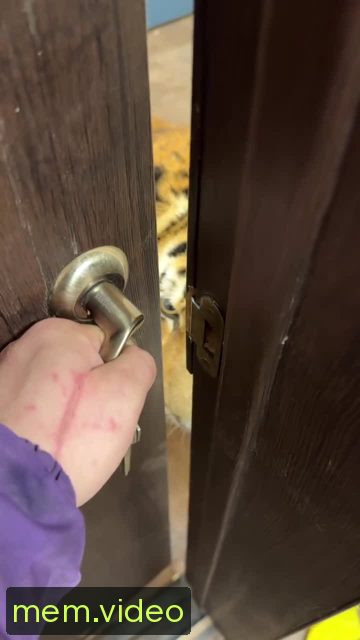 Кадр на 0:03