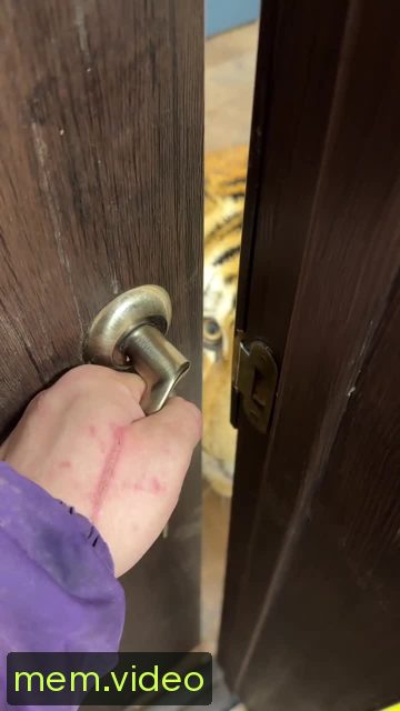 Кадр на 0:04