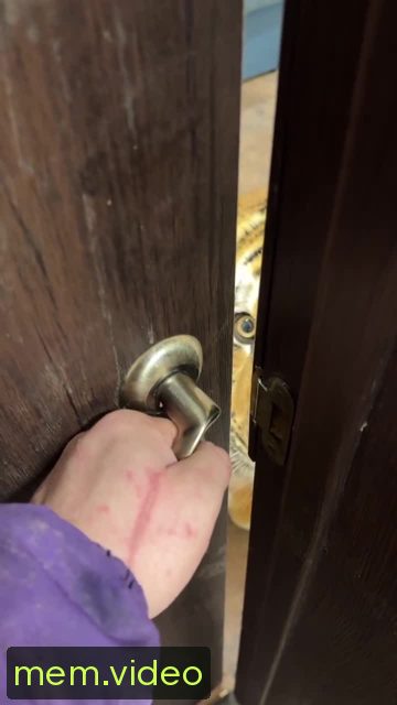 Кадр на 0:11