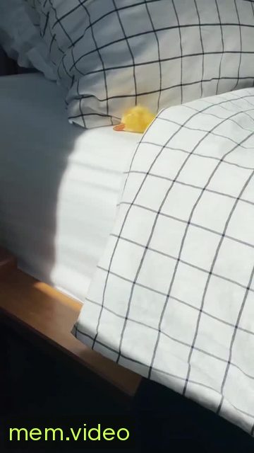 Кадр на 0:04