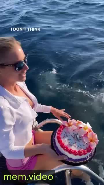Кадр на 0:04