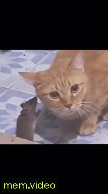 Кадр на 0:01