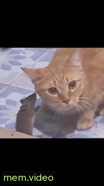 Кадр на 0:02