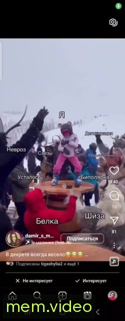 Кадр на 0:00