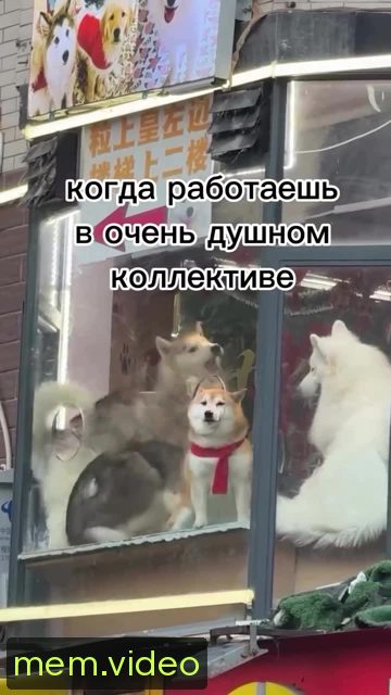 Кадр на 0:01