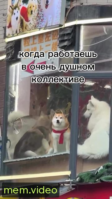Кадр на 0:02