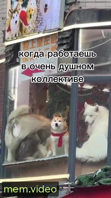 Кадр на 0:03