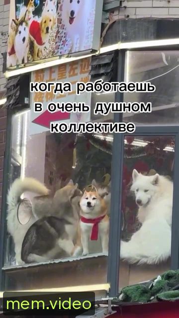 Кадр на 0:03