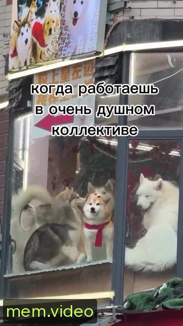 Кадр на 0:04