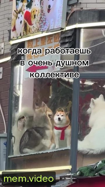 Кадр на 0:05