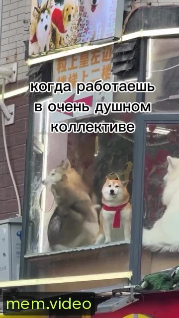 Кадр на 0:06