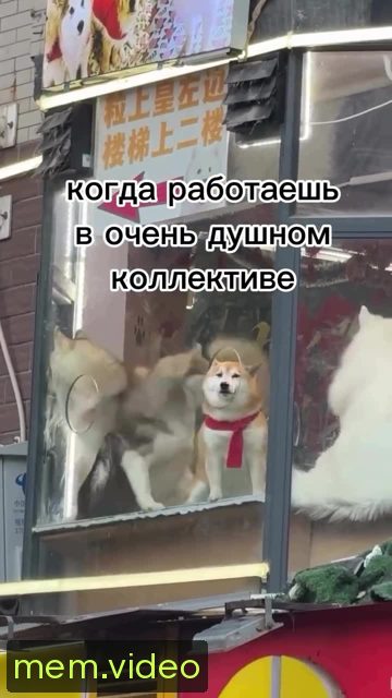 Кадр на 0:07