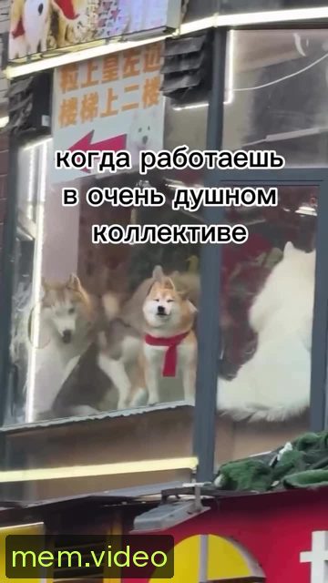 Кадр на 0:07