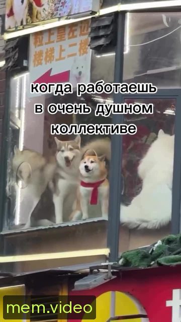 Кадр на 0:08