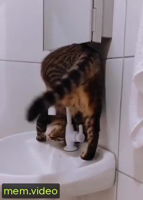 Кадр на 0:04