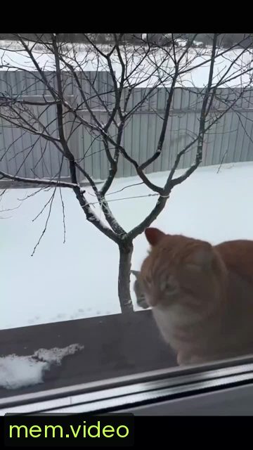 Кадр на 0:05