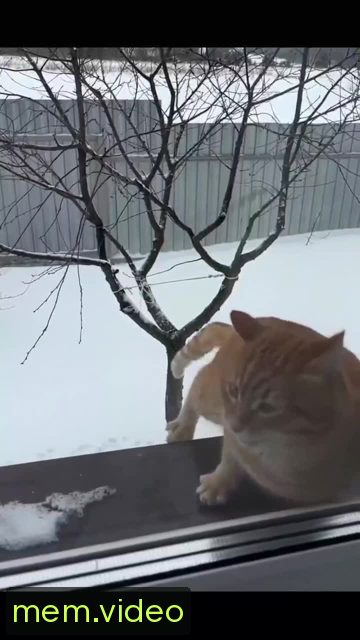 Кадр на 0:07