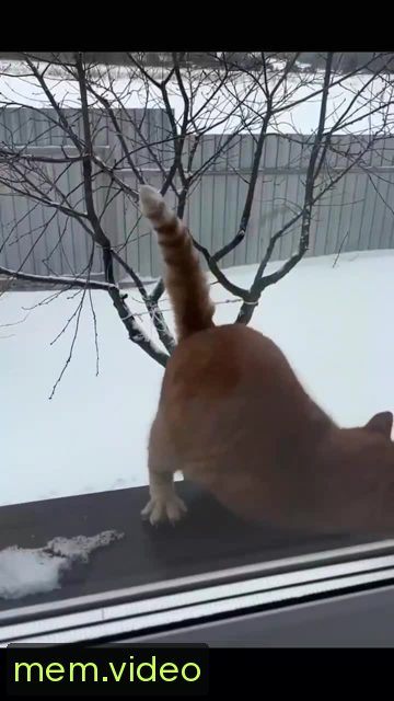 Кадр на 0:08