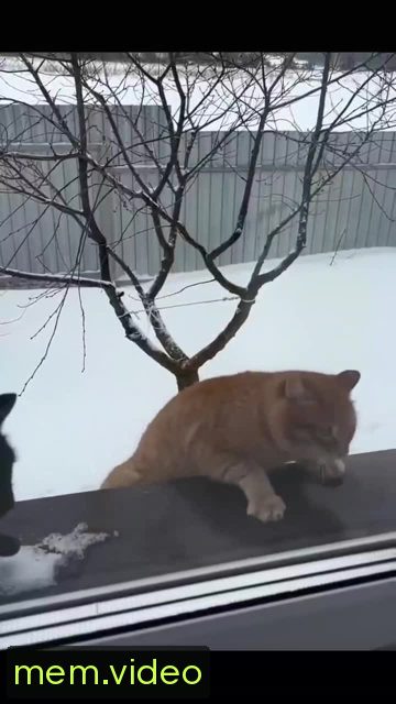 Кадр на 0:09