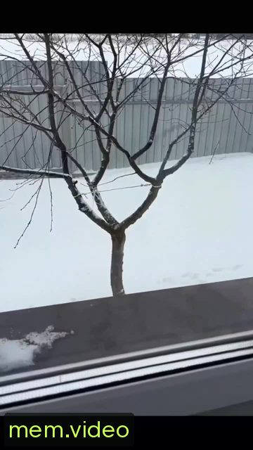 Кадр на 0:11