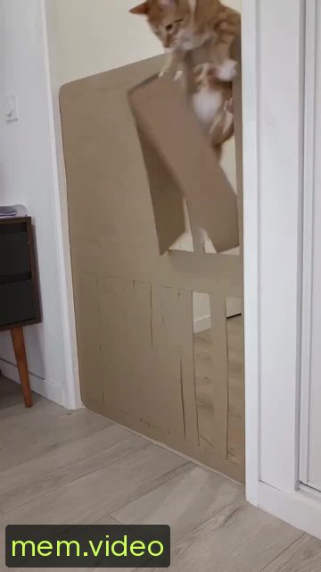 Кадр на 0:01