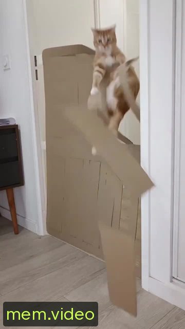 Кадр на 0:02