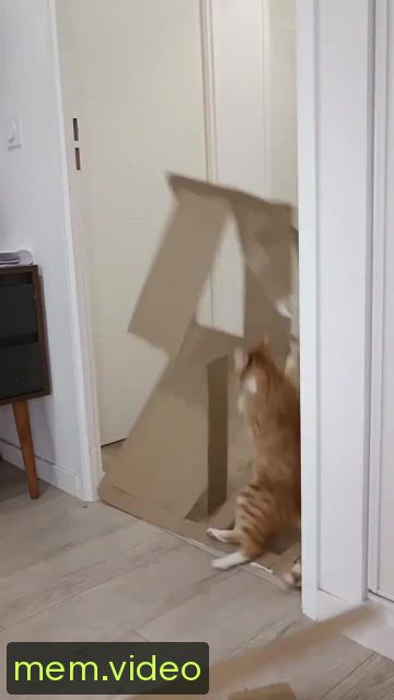 Кадр на 0:02
