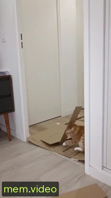 Кадр на 0:03