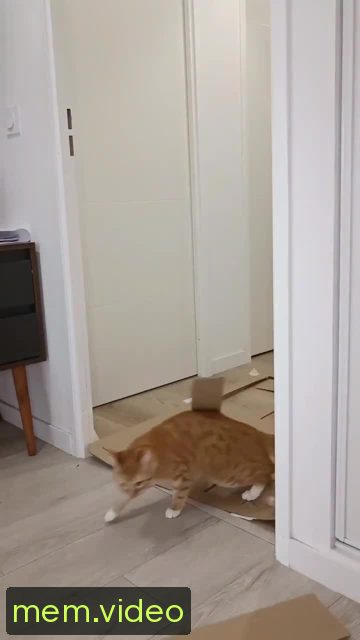 Кадр на 0:03