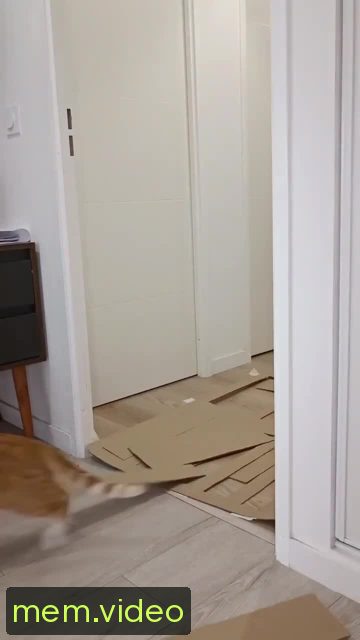 Кадр на 0:04