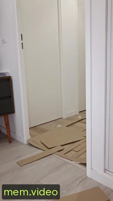 Кадр на 0:05