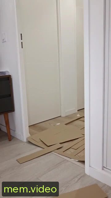 Кадр на 0:05
