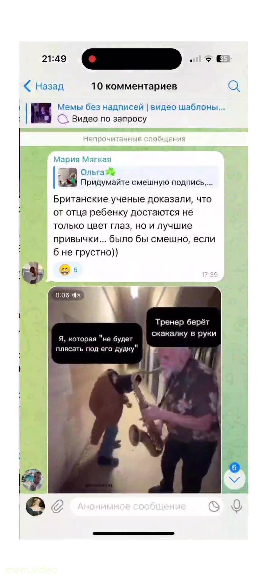 Кадр: Как сохранить видео из Telegram на iPhone
