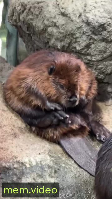 Кадр на 0:05