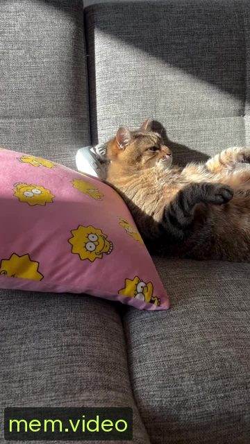 Кадр на 0:07