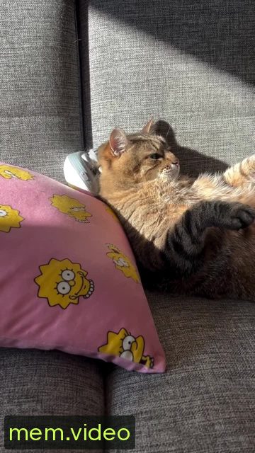 Кадр на 0:09